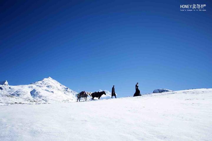 为爱珍藏  西藏旅拍雪山婚纱照-蜜婚纱摄影