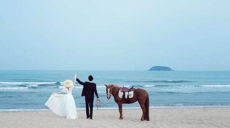莫兰迪婚纱摄影【海滨马场】