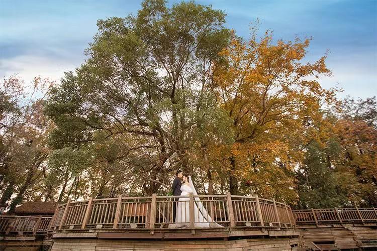 外景婚纱照风格，枫叶主题大自然婚纱照