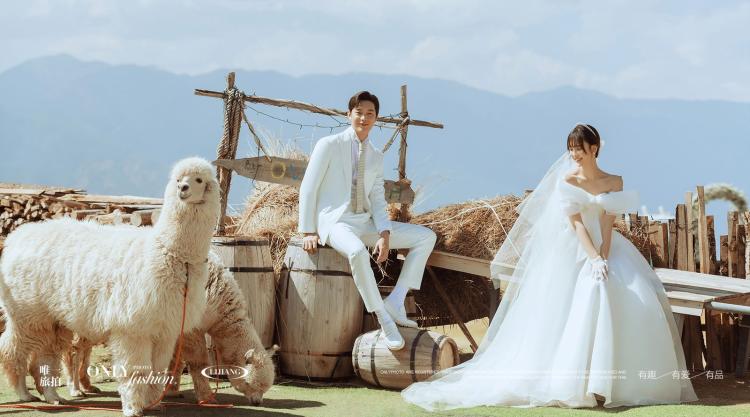 户外婚纱照拍摄主题 羊驼牧场小动物婚纱照