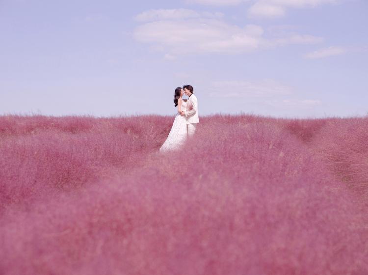 粉黛花海婚纱照 苏州旅拍当季可拍婚纱照